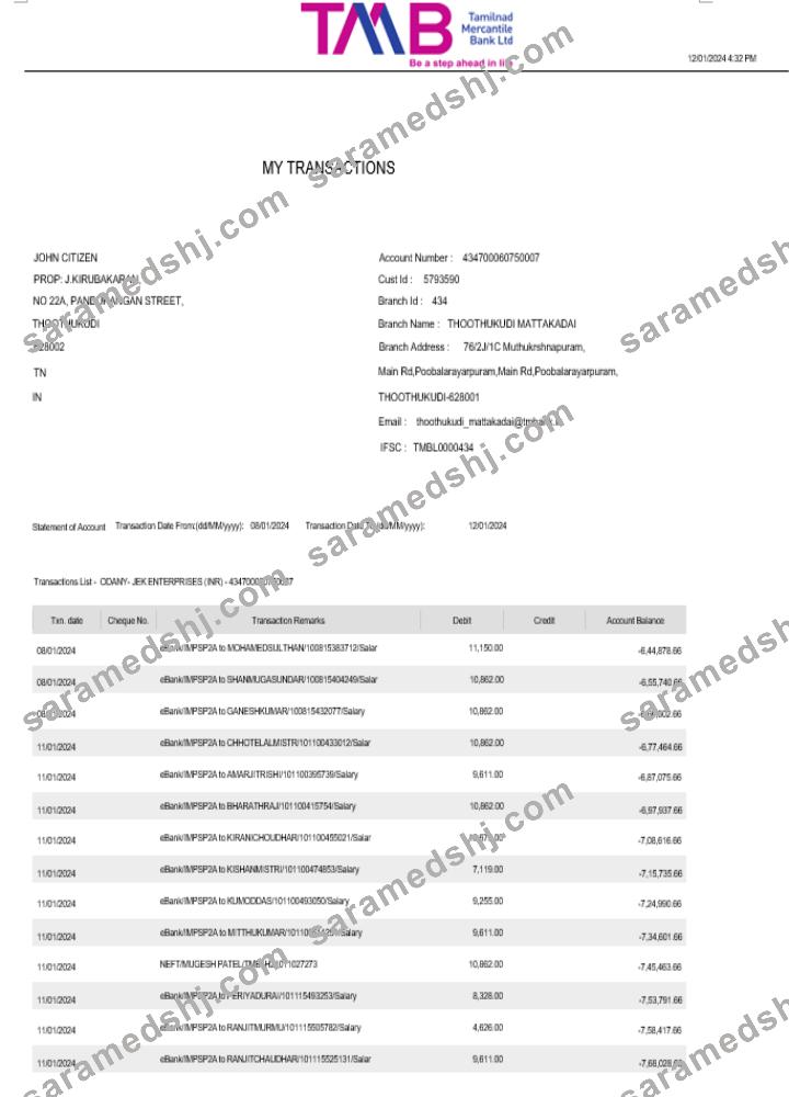 India TAB bank statement Word and PDF template, 2 pages